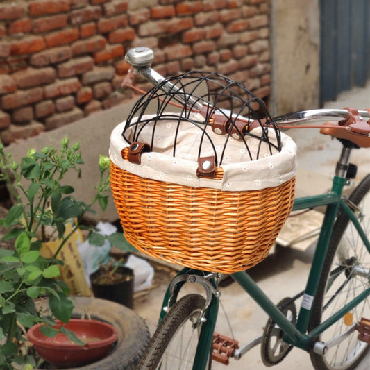 panier velo chien sur bicyclette